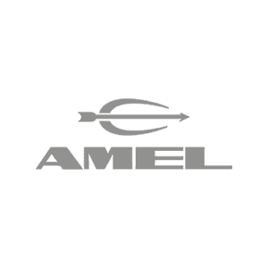 Logo Amel